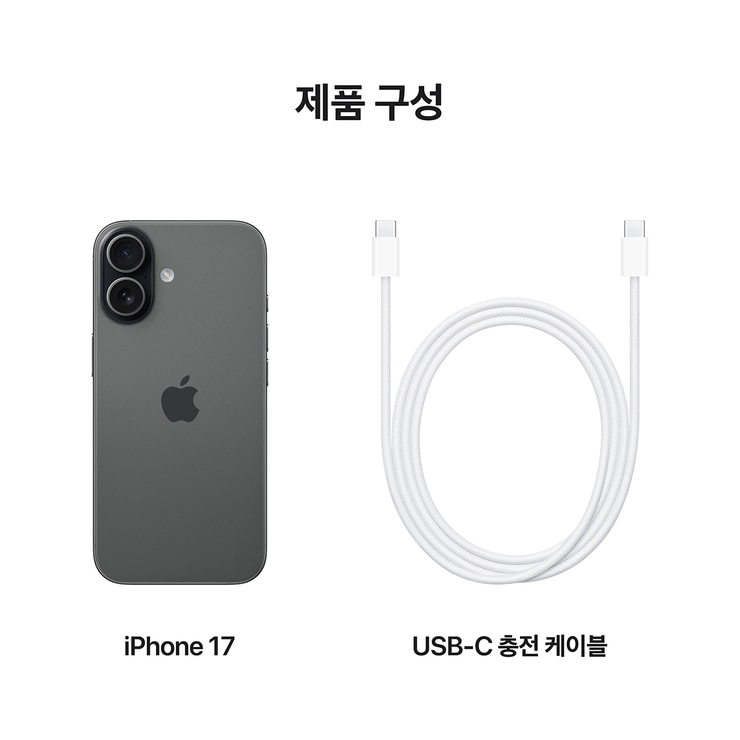 Apple 아이폰 17 256GB 블랙