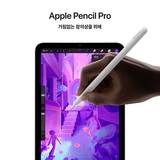 Apple 아이패드 미니 7세대128GB Wifi 스타라이트