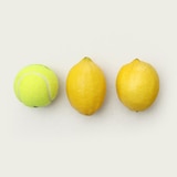 씨없는 레몬 2봉 (2.72kg)