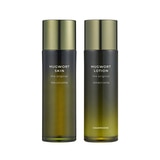 참존 인진쑥 디 오리지널 스킨 120ml + 로션 120ml