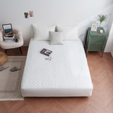 플로티나 방수 누빔 매트리스 커버 - 퀸, 화이트 플로티나 방수 누빔 매트리스 커버 - 퀸, 화이트