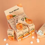 True Mints 민트 캔디4종 234g / 13g x 18