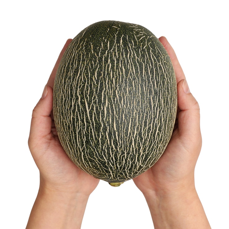 하미과 멜론 3KG