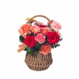 [서울/경기배송] 카네이션 바구니