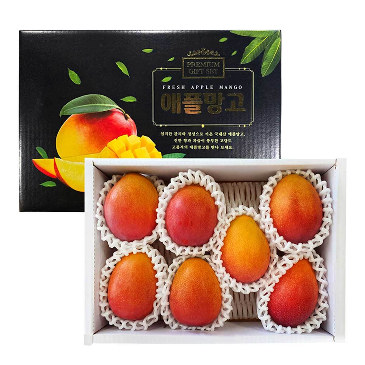 제주애플망고3kg (6~8입) 제주애플망고3kg (6~8입)