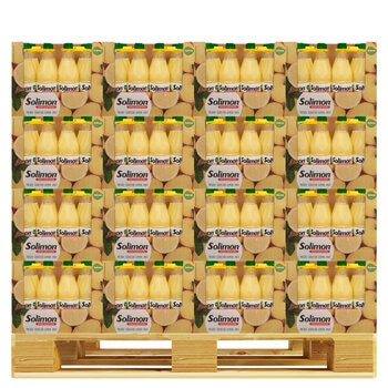 Solimon 스퀴즈드 레몬주스 1L x 2 x 288