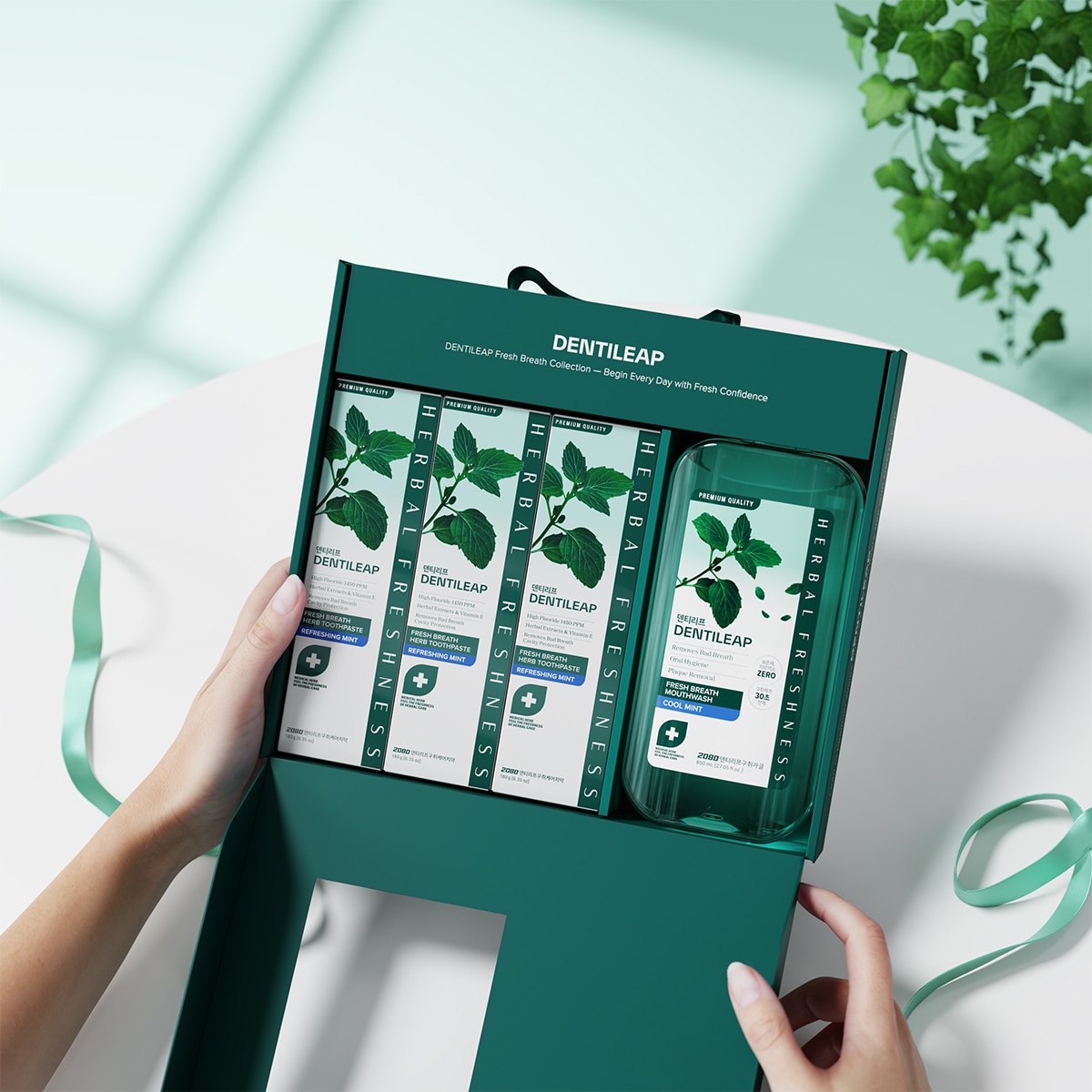 2080덴티리프 치약 180g x 3 + 마우스워시 800ml