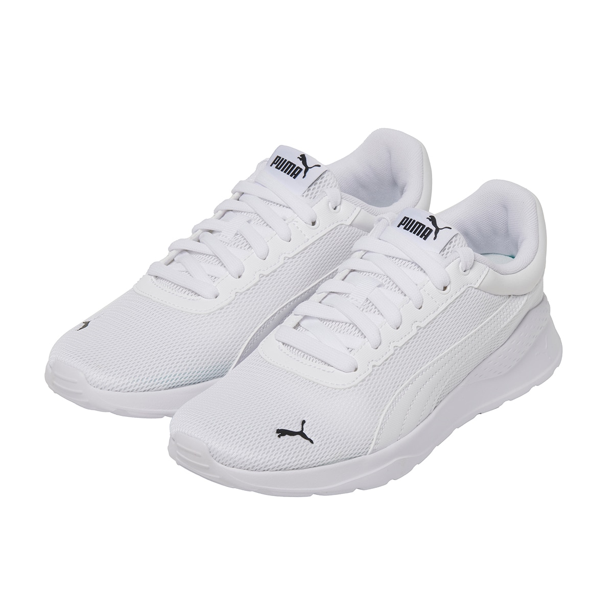 푸마 안자런 비비드 푸마 안자런 비비드