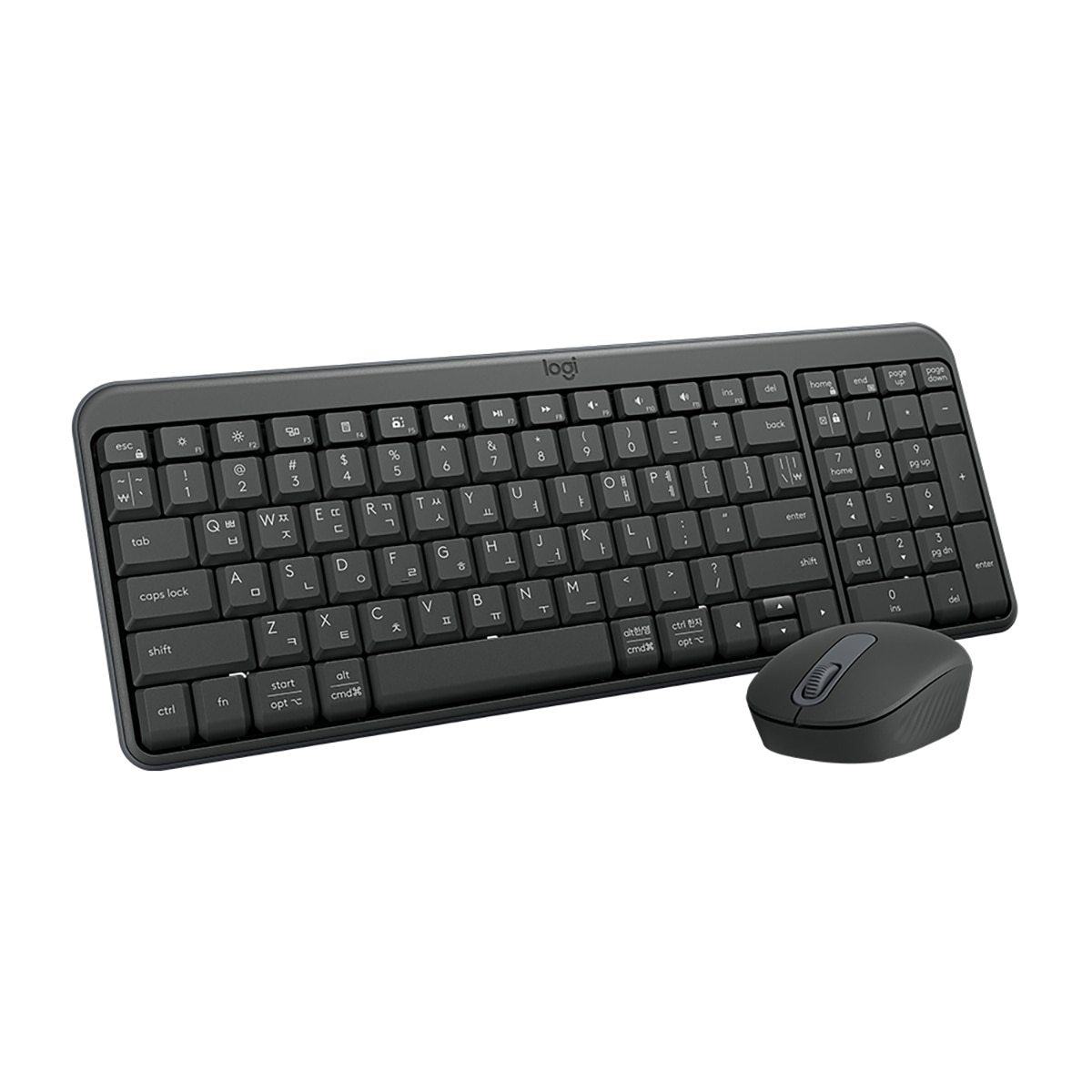 로지텍 블루투스 무선 키보드 + 마우스 콤보 MK250