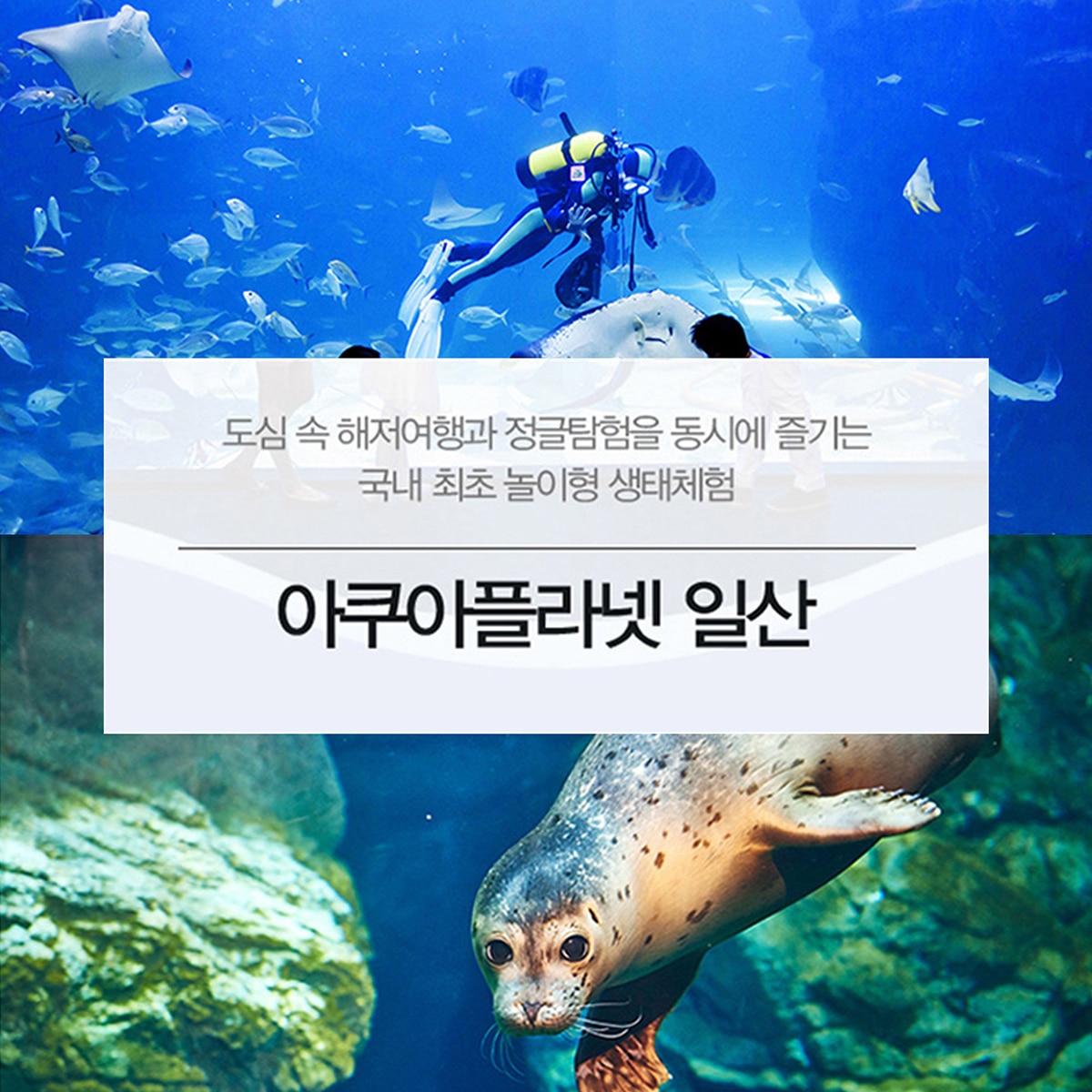 아쿠아플라넷 이용권 (일산점)