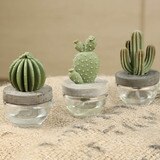 아로마코 선인장 디퓨저  100ml   + 리필  200ml