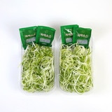 파채 500g