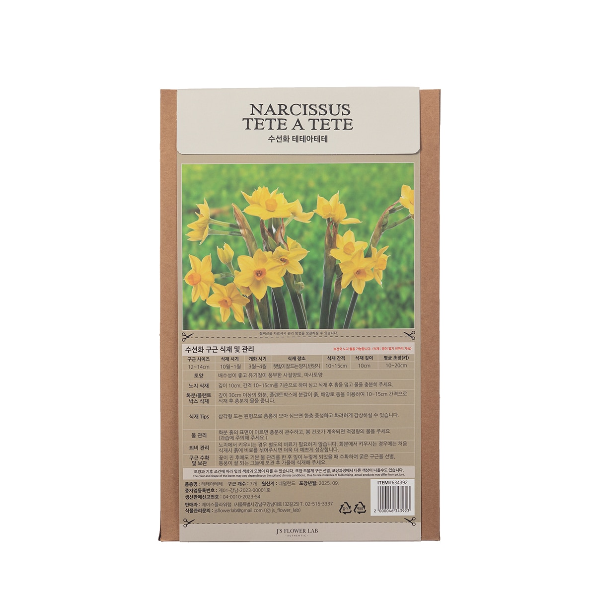 수선화 구근 / 최소구매 2 - 테테아테테 수선화 구근 / 최소구매 2 - 테테아테테