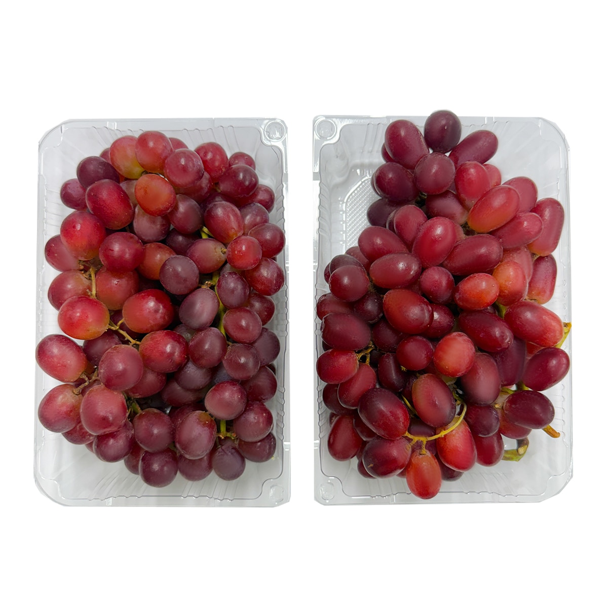 씨없는 적포도 2kg 씨없는 적포도 2kg