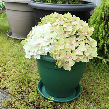 스튜어트가든 팔라디안 화분 40cm 2개, 그린 스튜어트가든 팔라디안 화분 40cm 2개, 그린