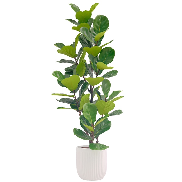 Faux Fig Tree 6.5ft/2m 1695674