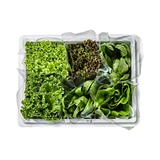 유러피언 쌈채소 5종(440g)