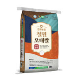 김화농협 철원 오대쌀 10kg