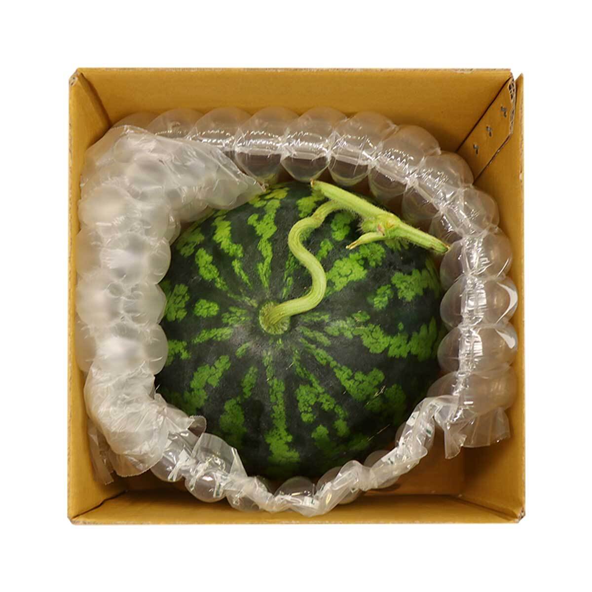 수박 6kg 미만