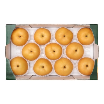 추황배 5kg 추황배 5kg