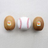제주제스프리 골드키위 5.6kg(37~41입)
