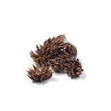 라넌큘러스 구근 / 최소구매 2 - 엘레강스 로쏘 라넌큘러스 구근 / 최소구매 2 - 엘레강스 로쏘