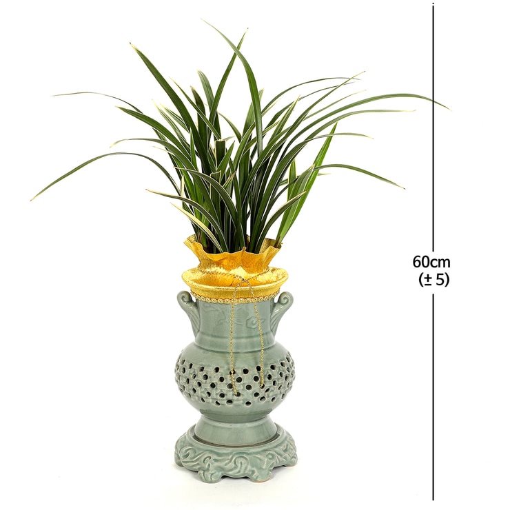 Oriental Orchid-2 624526