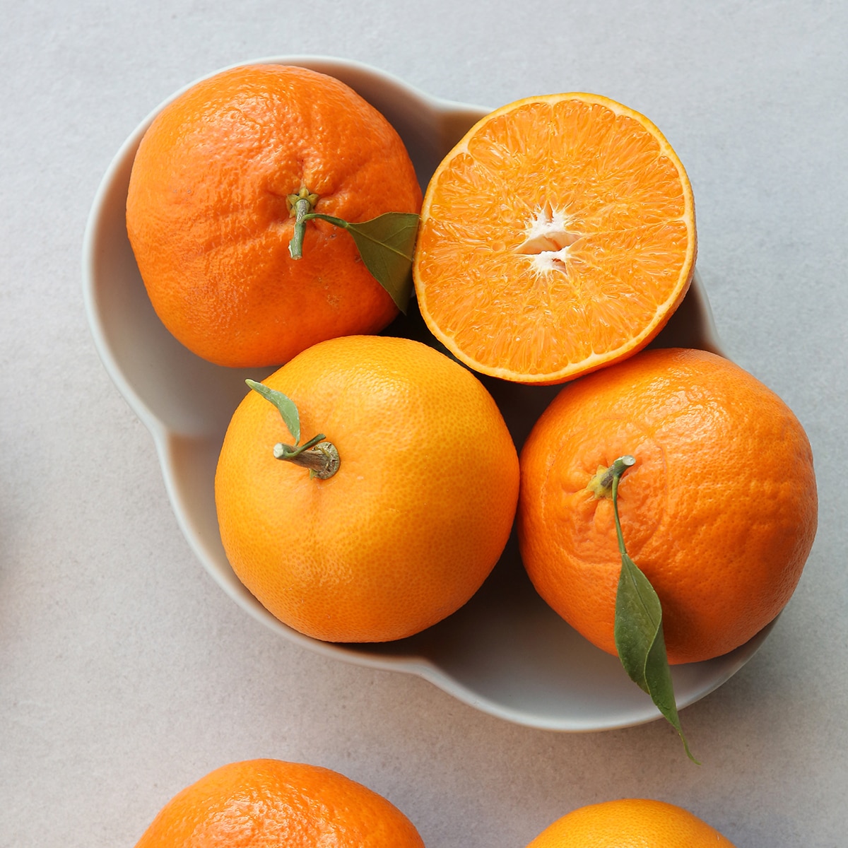 제주 3색 명품 선물세트 3kg (천혜향 3,레드향 3,한라봉 3)