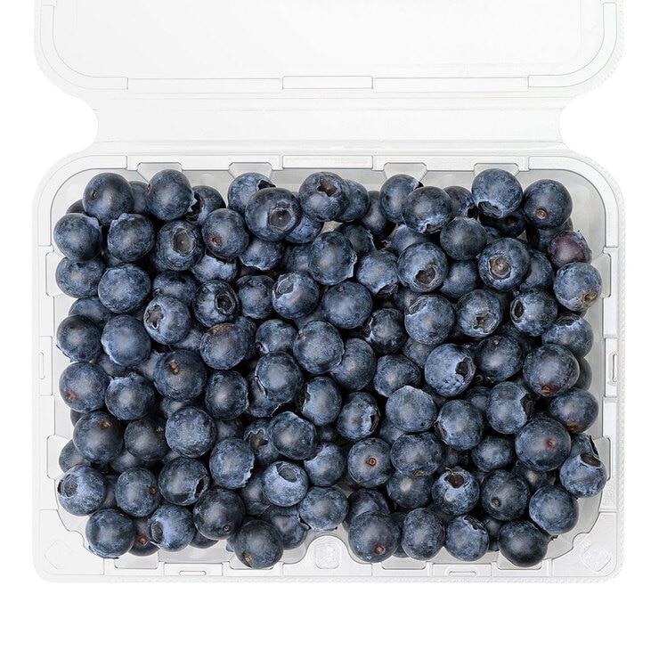 국내산블루베리 500g x 2팩