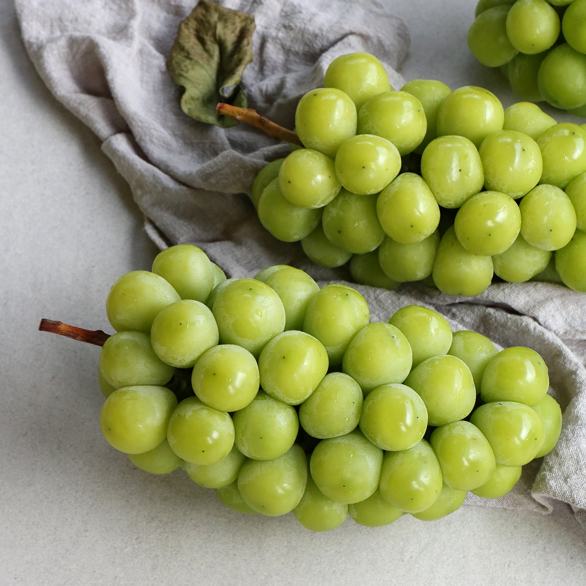 샤인머스켓&배&태국망고세트 4.2kg