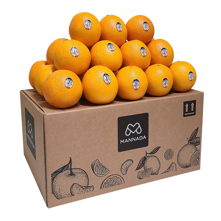 Sunkist Navel Oranges 7kg 519430