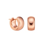 아엘라 골드 귀걸이