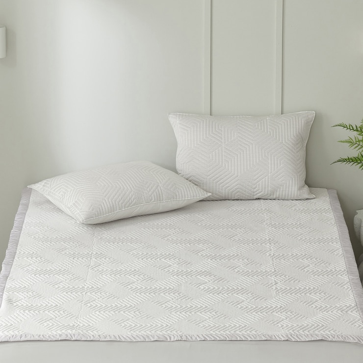 알러텍트 아이스 베개 커버 2P