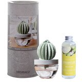 아로마코 선인장 디퓨저  100ml   + 리필  200ml