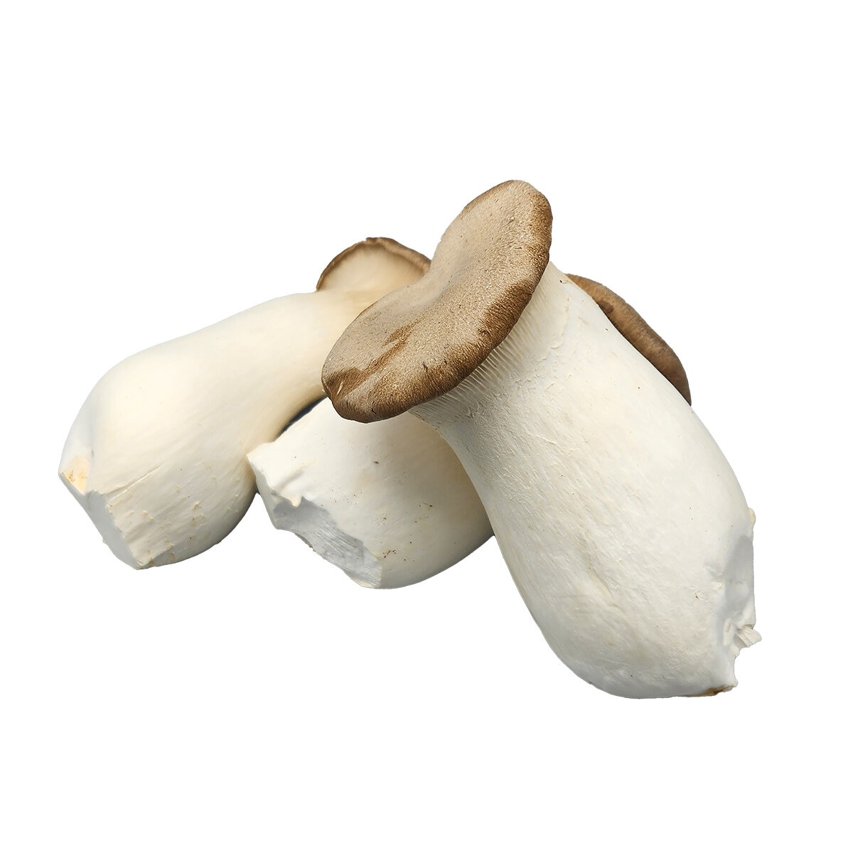 무농약새송이버섯900g x 2ct