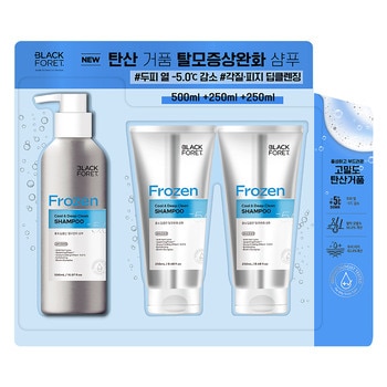 블랙포레 프로즌 탈모증상완화 샴푸(쿨앤딥클린)