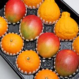 한라봉&천혜향&애플망고세트4.5kg (12입)