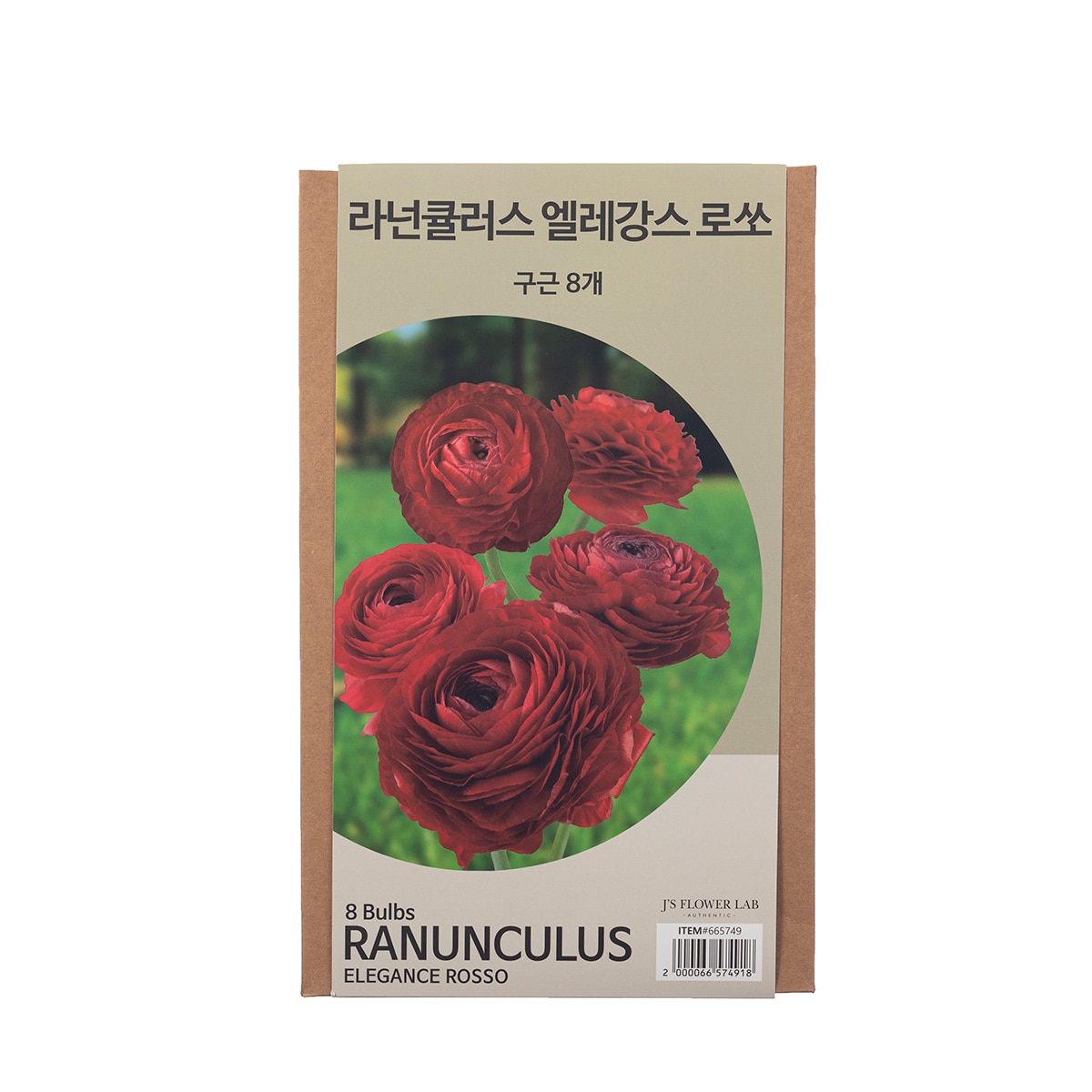 라넌큘러스 구근 / 최소구매 2