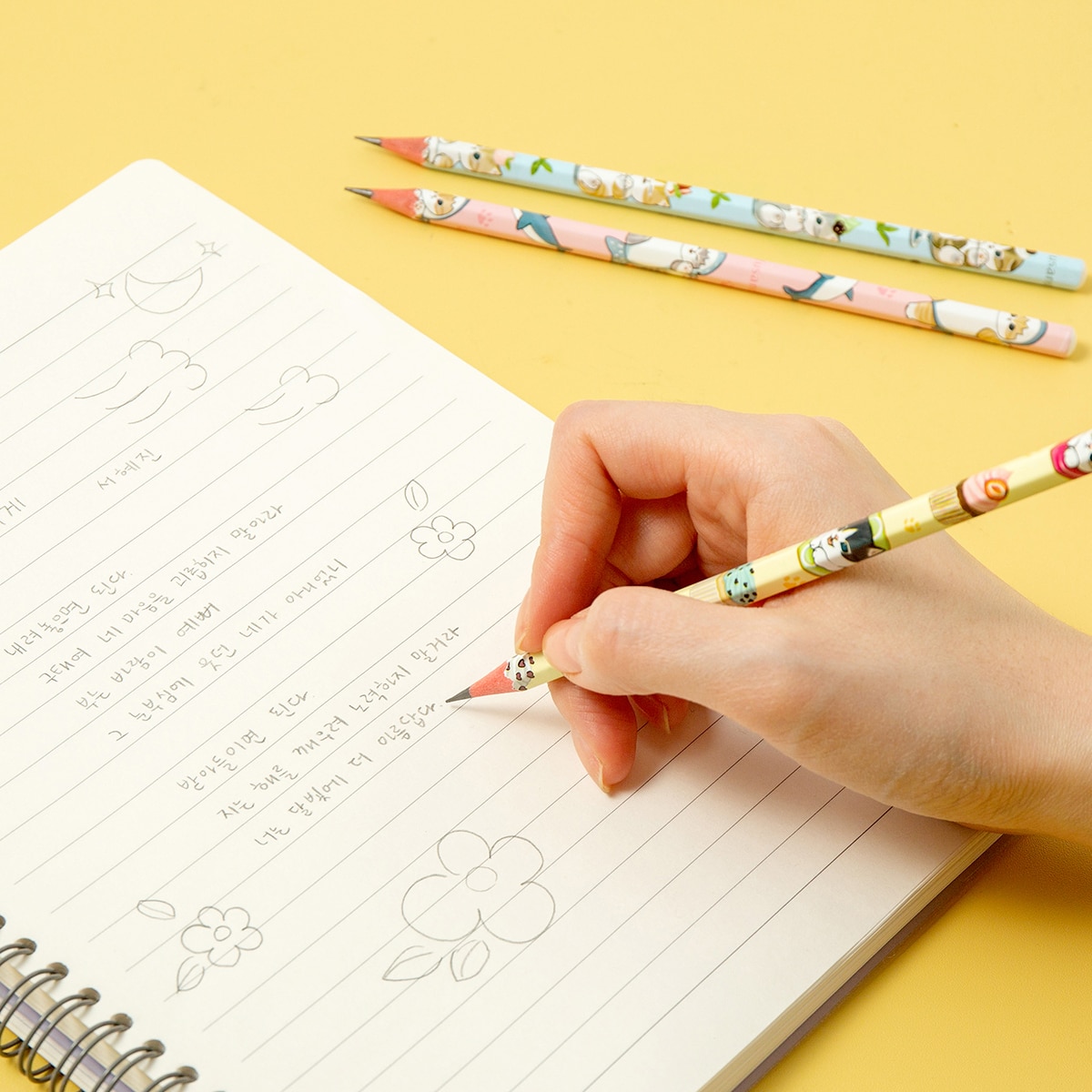 모프샌드 스위츠& 상어 연필 10개 x 10세트