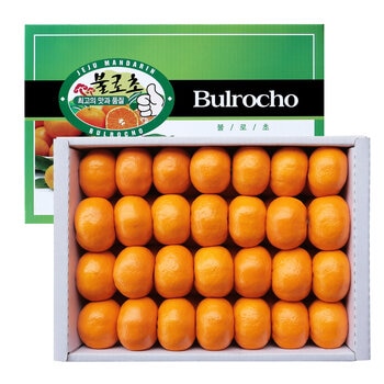 제주 불로초 감귤세트 5kg