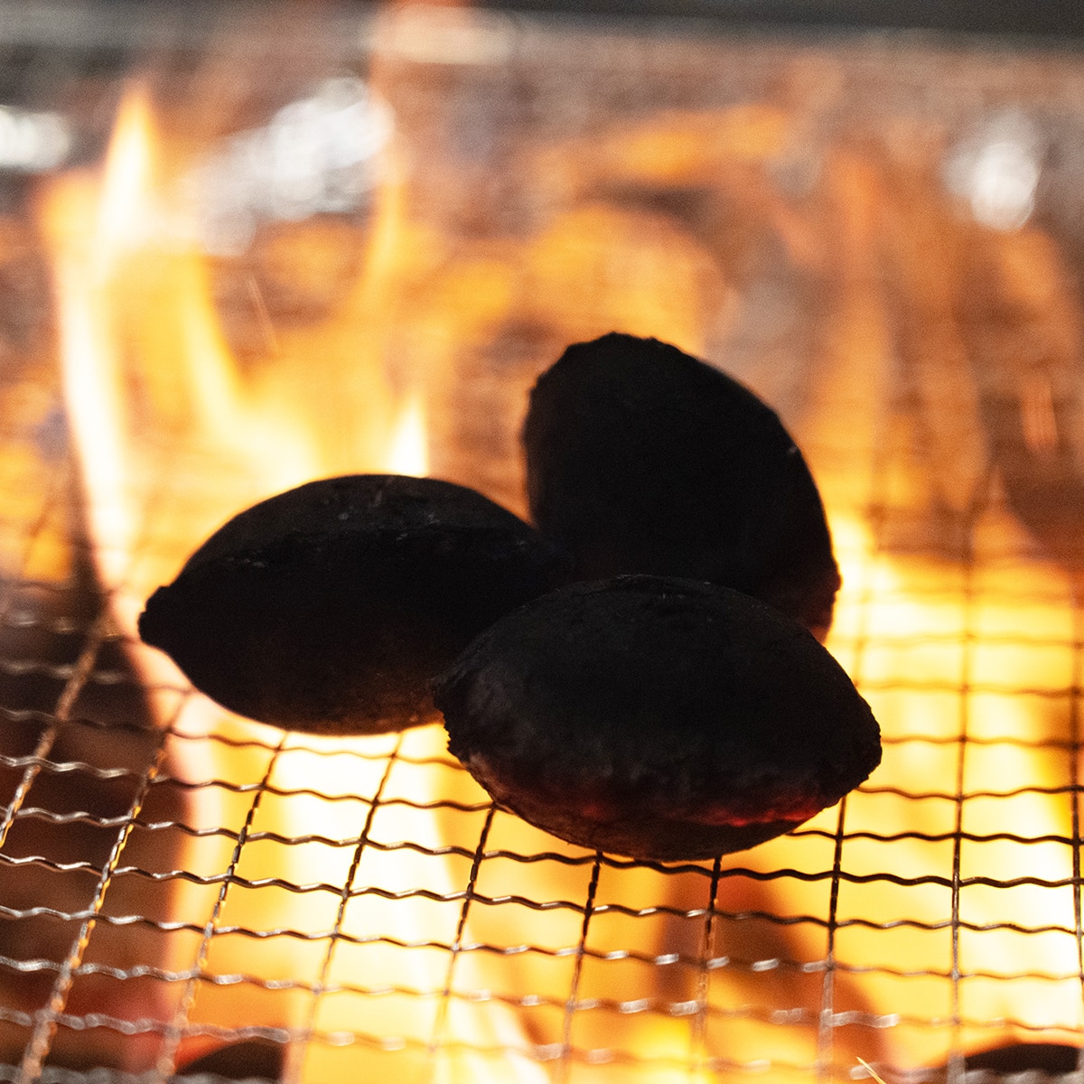 파이어폭스 야자숯 착화탄 1kg x 5