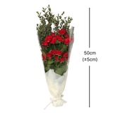 꽃다발 미니 장미 & 파블로 - (장미 - 레드, 파블로 - 그린)