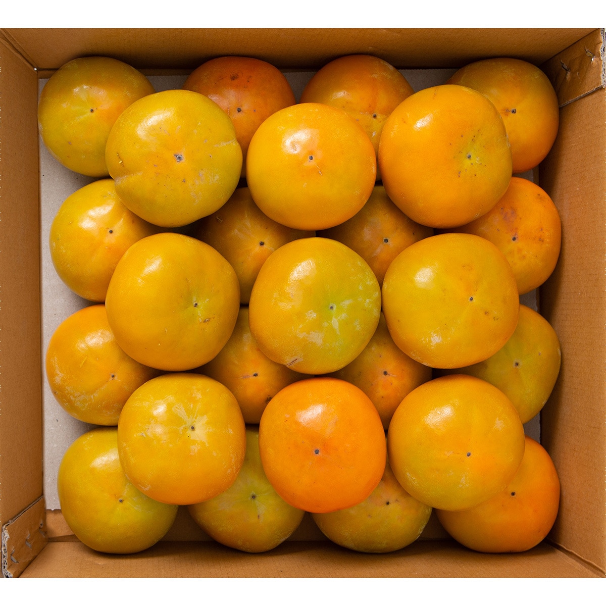 단감 5kg (26입내외)