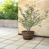 우드 배럴 플랜터, 브라운 우드 배럴 플랜터, 브라운