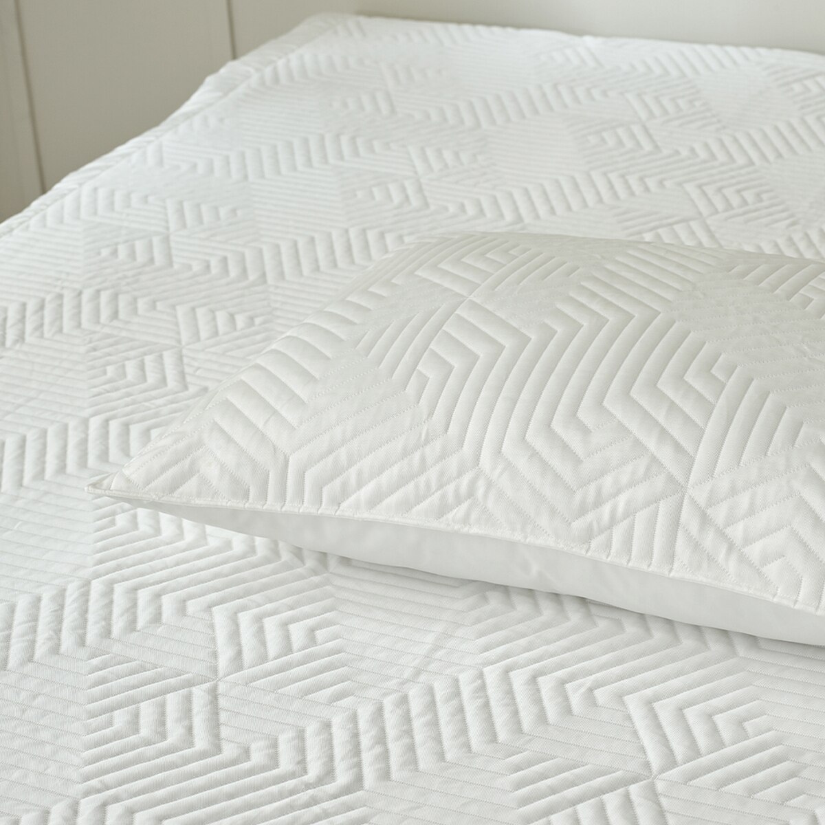 알러텍트 아이스 베개 커버 2P - 화이트