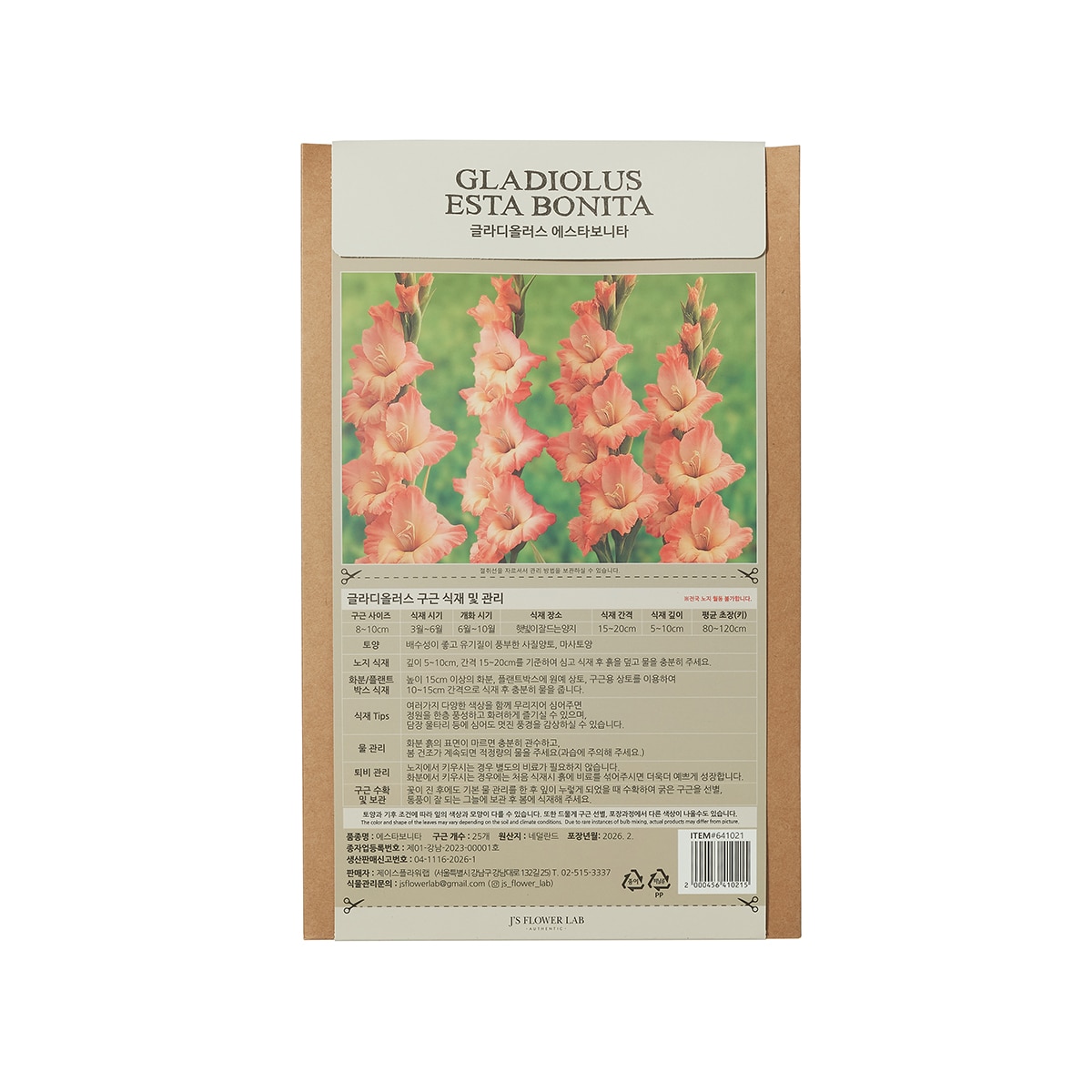 글라디올러스 구근 / 최소구매 2 - 에스타보니타
