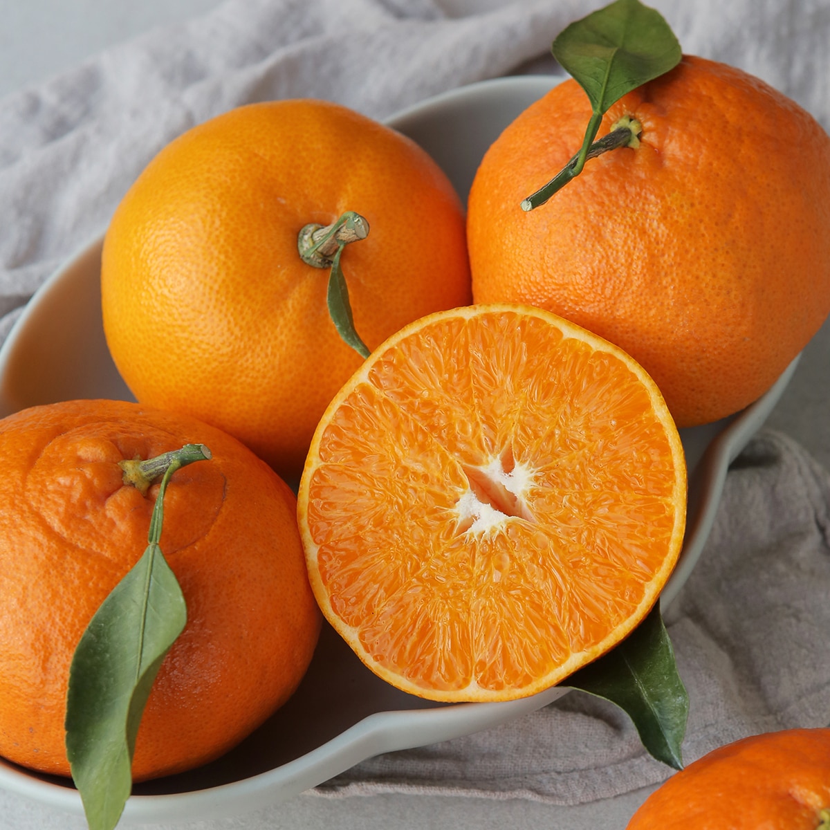 제주 3색 명품 선물세트 3kg (천혜향 3,레드향 3,한라봉 3)