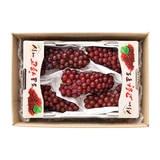 델라웨어 포도 1kg 델라웨어 포도 1kg