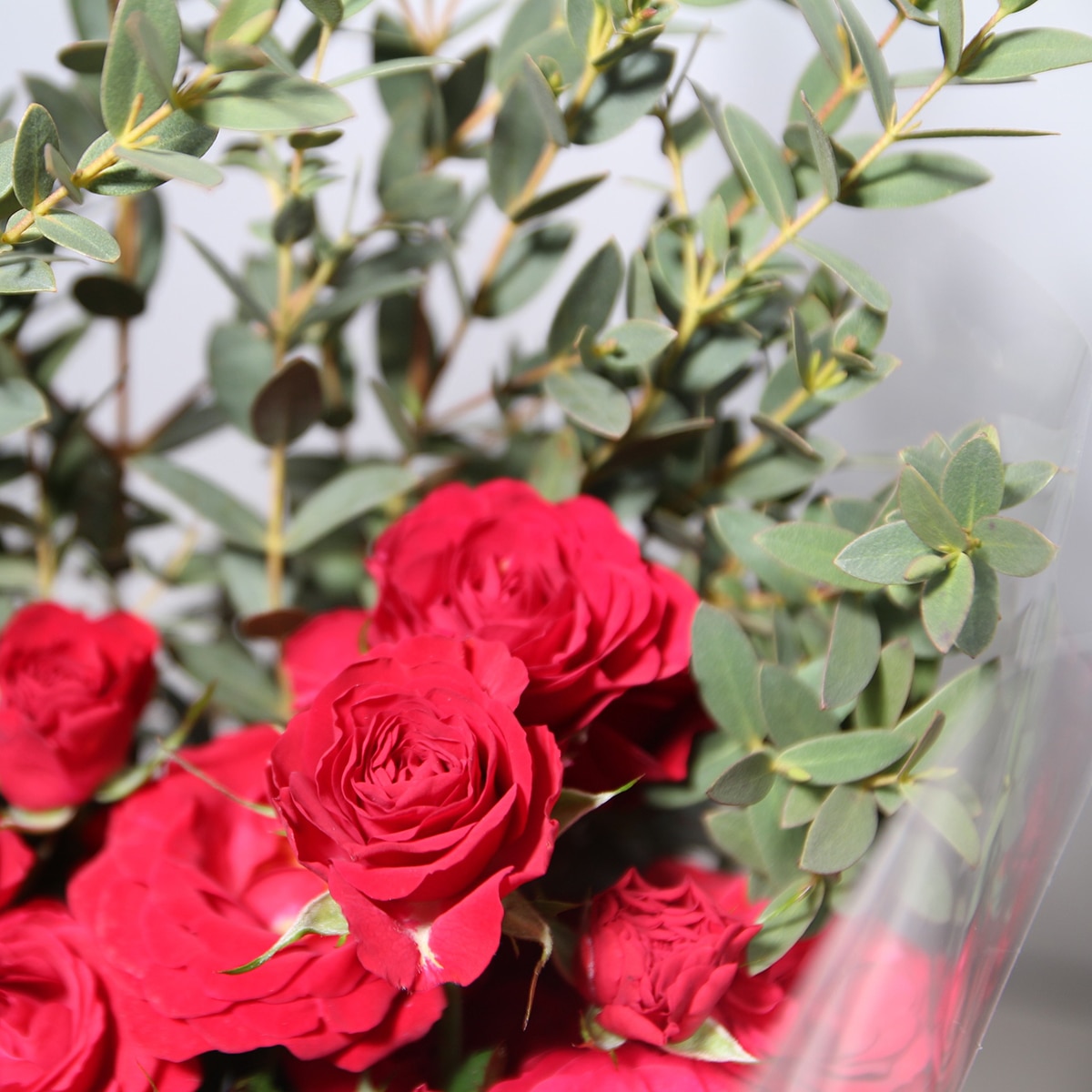 꽃다발 미니 장미 & 파블로 - (장미 - 레드, 파블로 - 그린)