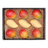 망고 2종 혼합 선물세트3.7kg(7~9입)